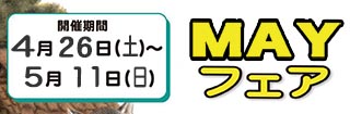 メイフェア